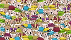 Patríte medzi tých pár výnimočných? Prezradí vám to náš test