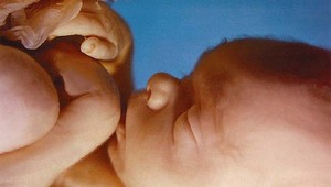 Deti vedia rozlíšiť rôzne reči ešte pred narodením