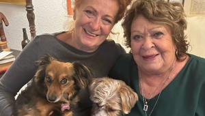 Smutné priznanie Bohdalkinej slávnej dcéry! Hviezda Pelíškov si zrazila psa!