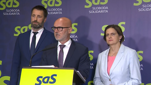 SaS obviňuje vládu z rozhadzovania a meškania s konsolidáciou
