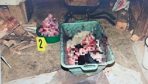 Zabíjal a porcioval psov. Sudca poslal muža do väzenia