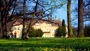 Malacký kaštieľ skrýva tajomstvo. Za murovanou priečkou našli oltár