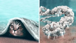 Z týchto obrázkov vám padne sánka