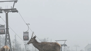 Čiastočné uvoľnenia opatrení prinášajú prvé benefity. V Tatranskej Lomnici sa už preveziete na lanovke