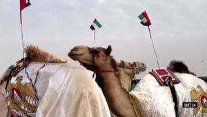 Svet 24 o záchrane nosorožcov, ale aj o miss tiav