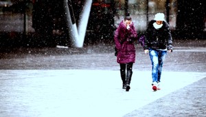 SHMÚ vydal výstrahu prvého stupňa: Pozor na silný vietor