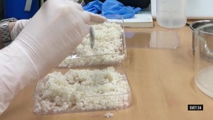 Svet 24 o kontroverzných kohútich zápasoch či o jedle budúcnosti