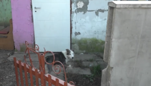 V osade na Hornom Zemplíne sa objavilo nebezpečné infekčné ochorenie