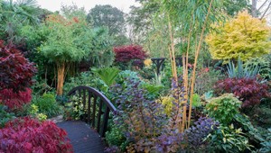 Takto sa treba o záhradu starať v novembri