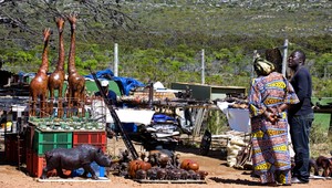 Pozor na suveníry z dovoleniek. Hrozí vám vysoká pokuta alebo väzenie