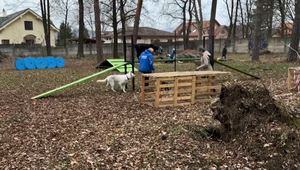 Rozbité fľaše, drogy a striekačky: Park má nový účel, no vandalizmus neprestáva
