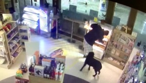 VIDEO: Policajti museli zastreliť psa. Agresívny muž mu prikázal na nich zaútočiť