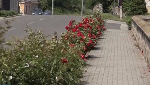 O chodníky sa po novom starajú samosprávy. Starostovia a primátori sú proti