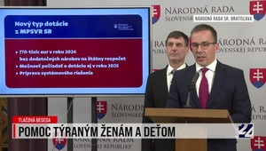 Tlačová beseda ministra práce o pomoci týraným ženám a deťom