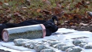 Za porušenie podmienky putuje do väzby: Policajti u neho našli 300 jednorázových dávok drogy