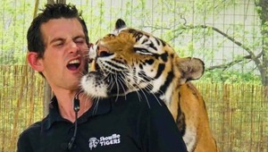 Bývalého spolupracovníka Joea Exotica zabila šelma. Majiteľ tigrej rezervácie zahynul pod pazúrmi tigra