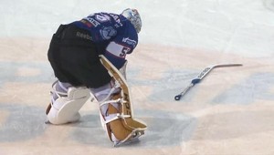 Ukážkový vlastenec! Rok ešte ani nezačal a už tu máme babráka roka?