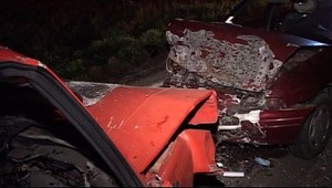 Jeleň vošiel na cestu, zapríčinil vážnu dopravnú nehodu