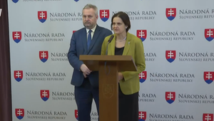 Tlačová beseda strany SaS o aktuálnych politických témach