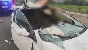 Vodič skončil po zrážke s jeleňom v nemocnici