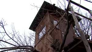 Policajti riešia prípad pytliactva. Z jeleňa odrezali iba hlavu s parožím