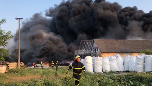 V Palárikove horelo v hale a jej okolí. Protizákonne likvidovali prázdne obaly od tonerov