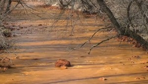 Slaná je oranžová už tri mesiace, vláda na ňu vyčlenila 200-tisíc eur