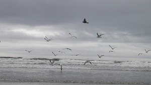 Žena prežila 19 hodín vo vodách Tichého oceánu