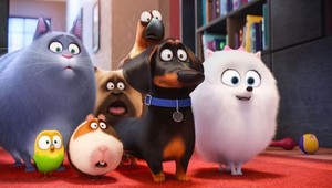 Tajný život maznáčikov 2: Pozrite si trailer ako prví, popukáte sa od smiechu!