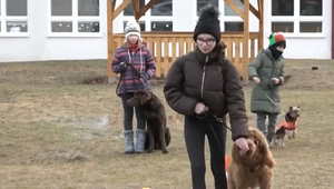 Deti sa v škole učia, aké je to mať psíka. Pozrite sa, ako to prebieha