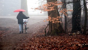 Čakajú nás chladné dni, ráno sa objavia i hmly
