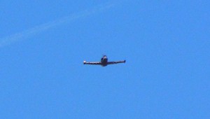 Tragédia na Kryme: Po páde ruského lietadla hlásia 29 obetí