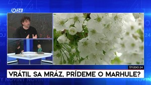 Štúdio 24: Vrátil sa mráz, prídeme o marhule?