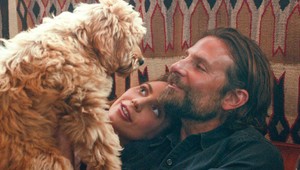 Príbeh psíka z filmu Zrodila sa hviezda vás dojme! Viete, po kom ho pomenovali?