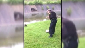 Hus zaklopala na dvere policajného auta, potrebovala pomôcť mláďaťu