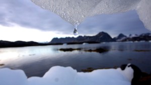 Vedci chcú oživiť 30 tisíc rokov starý vírus nájdený v permafroste