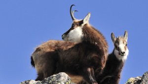 Letná turistika: Tatry lákajú, no slnko môže byť zradné