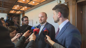 Reakcia strany PS na vylúčenie Zuzany Mesterovej z rokovacej sály