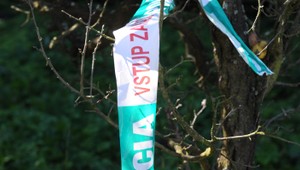 Krvavá noc v Žiline: Útočník pobodal troch ľudí