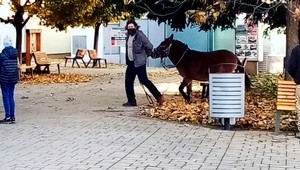 Opitý lekár, muž s oslíkom či klauni. Aj takto vyzeralo 2. kolo plošného testovania