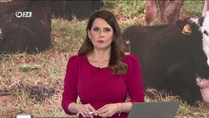 Štúdio 24: Prípad slintačky a krívačky