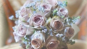 Odhaľte tajomstvo v novej historickej romanci Ideálna nevesta