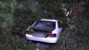 Po rýchlej jazde skončil v záhrade domu. Zastavili ho až stromy