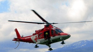 Chlapčeka privalil strom!