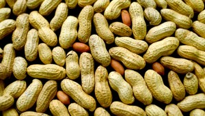 Vedci: Dávno známy liek na astmu znižuje riziko smrteľných alergických reakcií