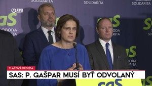 Tlačová beseda SaS: Pavol Gašpar musí byť odvolaný