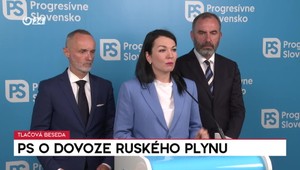 Tlačová beseda Progresívneho Slovenska o dovoze ruského plynu