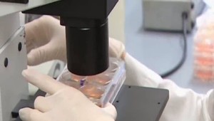 Vývoj vakcíny proti koronavírusu. Najskôr sa zaočkujeme o rok