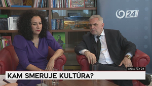 Analýzy 24: Kam smeruje kultúra?