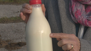 Vedci: "Pohár mlieka denne znižuje riziko rakoviny čriev takmer o pätinu"